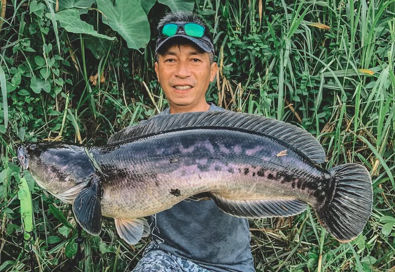 shimano fishing